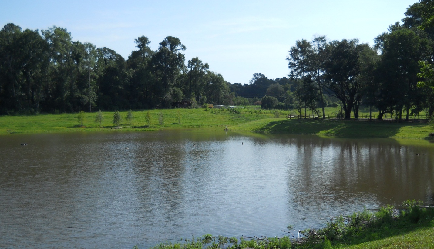 Timberlake Stormwater Pond 